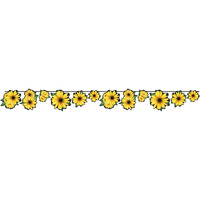 Sunflower Streamer