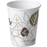 DXE 10 oz Hot Paper Cup