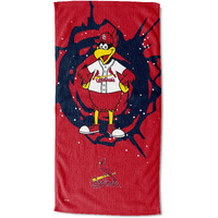 MASCOTS - ST LOUIS CARDINALS