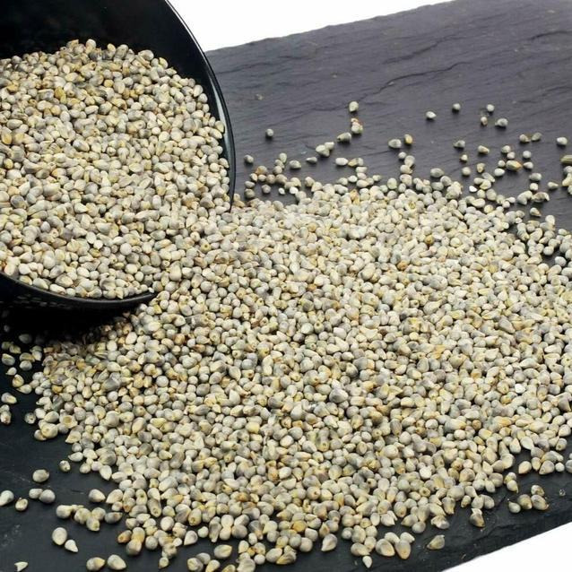 Devam Pearl Millet 1 kg