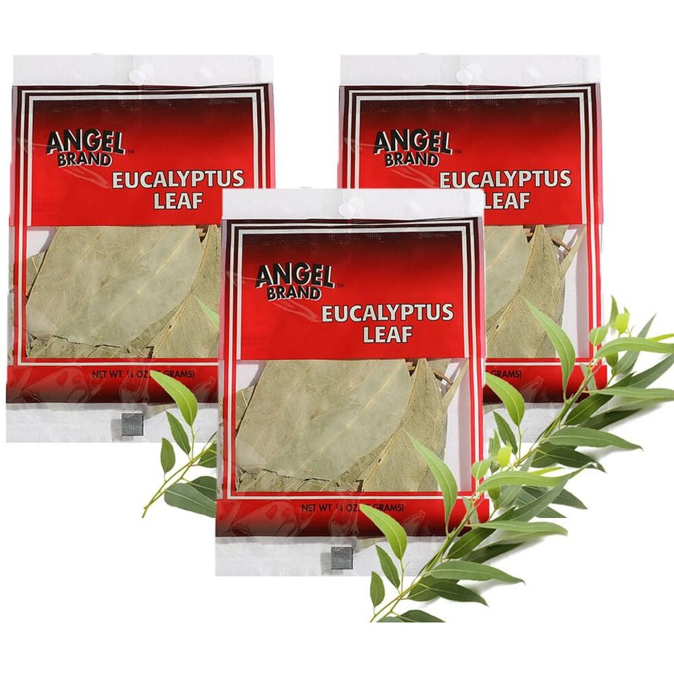 Eucalyptus (3 PACKS)