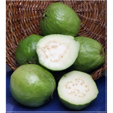 India Bazaar Fresh Guavas (3 Lbs.)