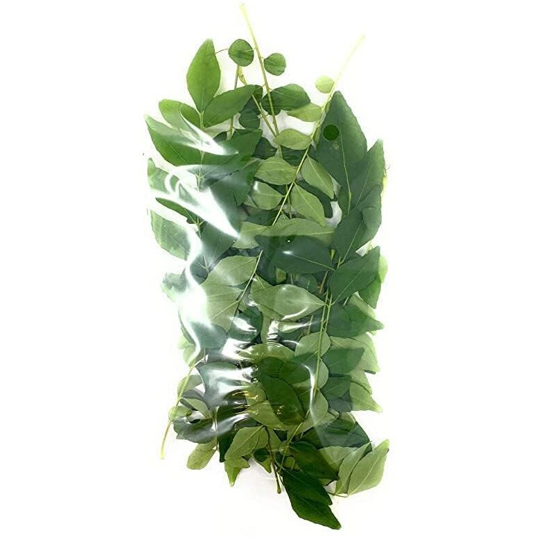 Fresh Curry Leaves 2-3oz ~ All Natural | Vegan | Gluten Friendly | NON-GMO | Product of USA