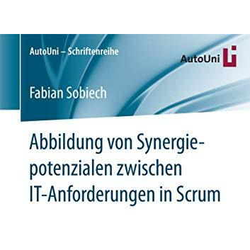 Abbildung von Synergiepotenzialen zwischen IT-Anforderungen in Scrum [Paperback]