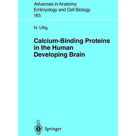 Calcium-Binding Proteins in the Human Developing Brain [Paperback]