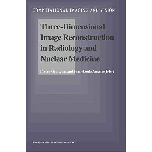 Three-Dimensional Image Reconstruction in Radiology and Nuclear Medicine [Paperback]