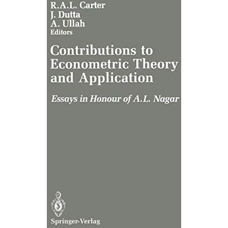 Contributions to Econometric Theory and Application: Essays in Honour of A.L. Na [Paperback]