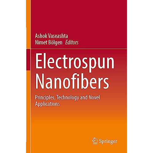 Electrospun Nanofibers: Principles, Technology and Novel Applications [Paperback]