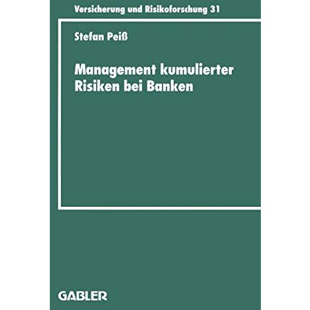 Management kumulierter Risiken bei Banken: Eine empirische Untersuchung im Immob [Paperback]