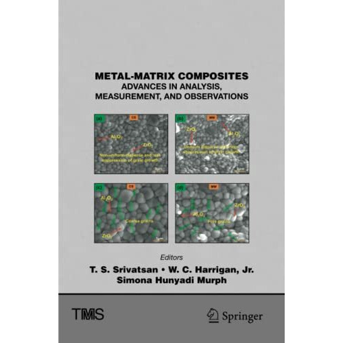 Metal-Matrix Composites: Advances in Analysis, Measurement, and Observations [Paperback]