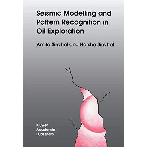 Seismic Modelling and Pattern Recognition in Oil Exploration [Hardcover]