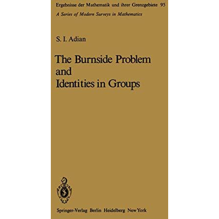 The Burnside Problem and Identities in Groups [Paperback]