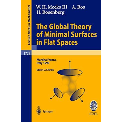 The Global Theory of Minimal Surfaces in Flat Spaces: Lectures given at the 2nd  [Paperback]