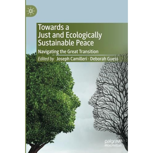 Towards a Just and Ecologically Sustainable Peace: Navigating the Great Transiti [Paperback]