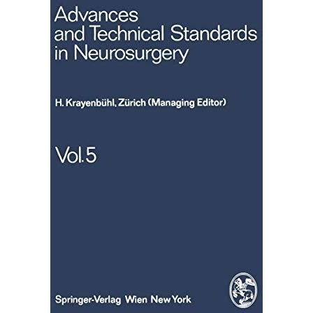 Advances and Technical Standards in Neurosurgery [Paperback]