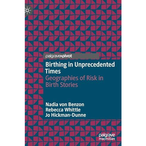 Birthing in Unprecedented Times: Geographies of Risk in Birth Stories [Hardcover]