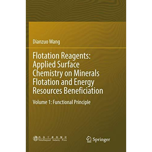 Flotation Reagents: Applied Surface Chemistry on Minerals Flotation and Energy R [Paperback]