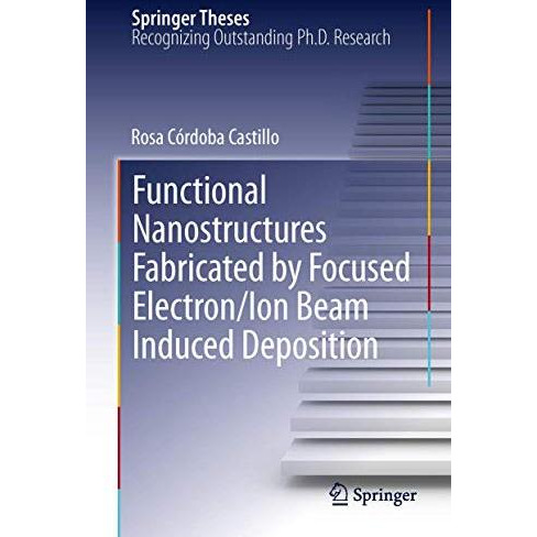 Functional Nanostructures Fabricated by Focused Electron/Ion Beam Induced Deposi [Hardcover]