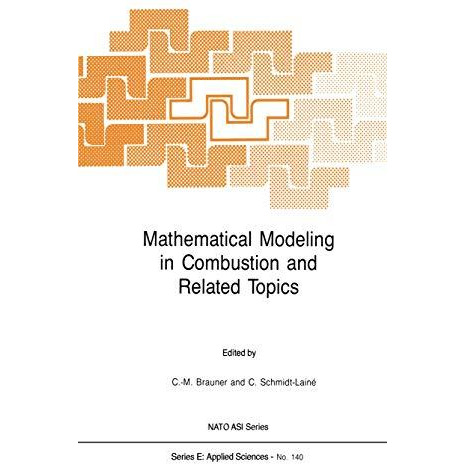 Mathematical Modeling in Combustion and Related Topics [Paperback]