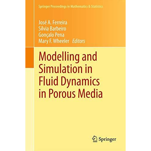 Modelling and Simulation in Fluid Dynamics in Porous Media [Hardcover]