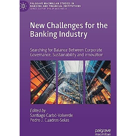 New Challenges for the Banking Industry: Searching for Balance Between Corporate [Hardcover]