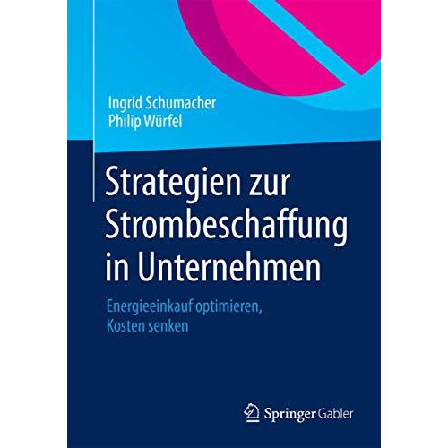 Strategien zur Strombeschaffung in Unternehmen: Energieeinkauf optimieren, Koste [Hardcover]