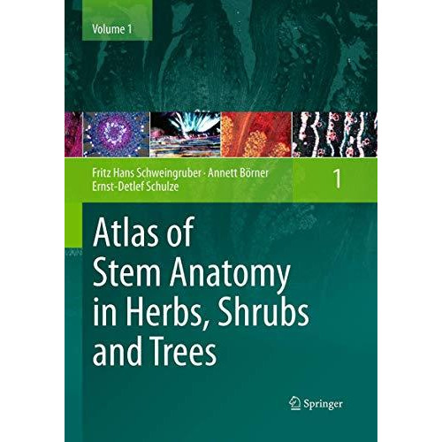 Atlas of Stem Anatomy in Herbs, Shrubs and Trees: Volume 1 [Paperback]