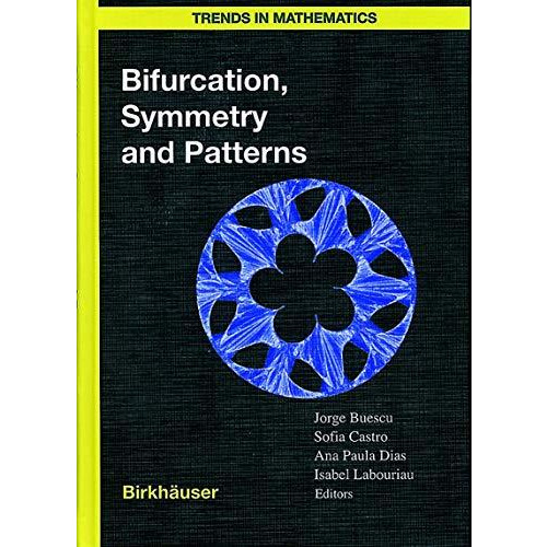 Bifurcation, Symmetry and Patterns [Paperback]