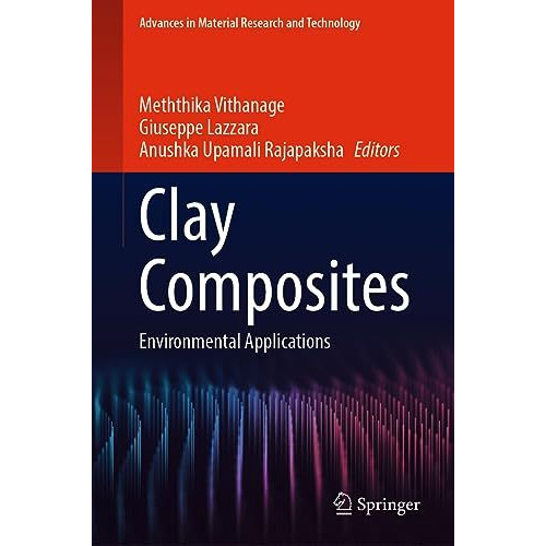 Clay Composites: Environmental Applications [Hardcover]