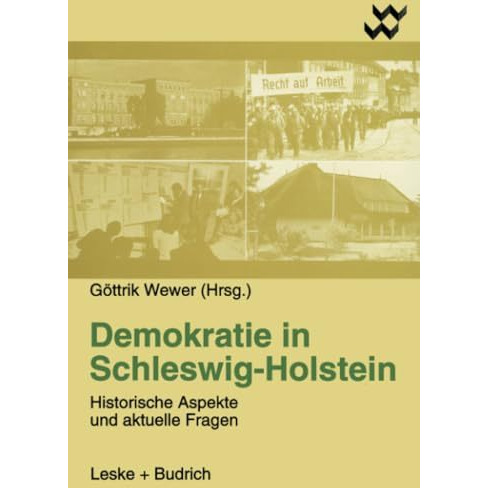 Demokratie in Schleswig-Holstein: Historische Aspekte und aktuelle Fragen [Paperback]