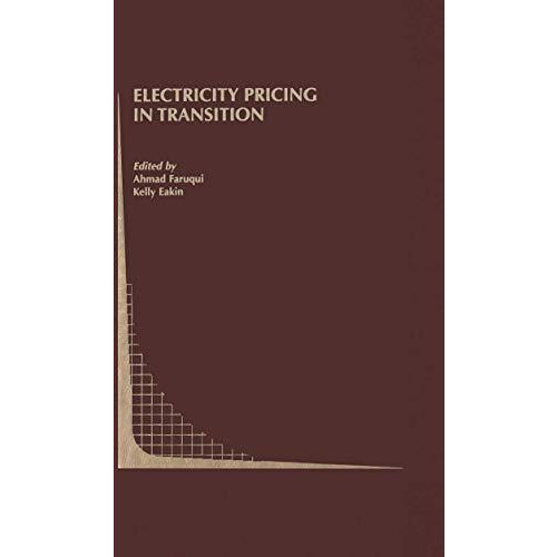 Electricity Pricing in Transition [Paperback]