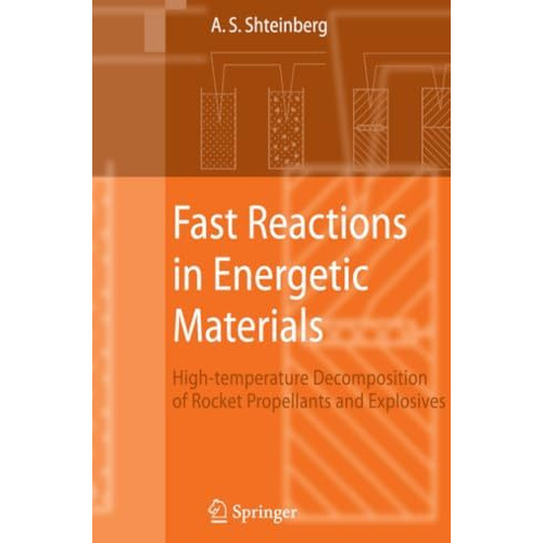 Fast Reactions in Energetic Materials: High-Temperature Decomposition of Rocket  [Paperback]