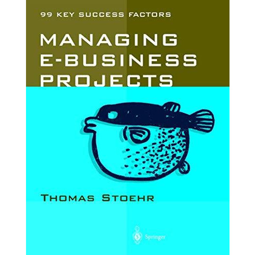 Managing e-business Projects: 99 Key Success Factors [Paperback]