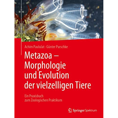 Metazoa - Morphologie und Evolution der vielzelligen Tiere: Ein Praxisbuch zum Z [Paperback]