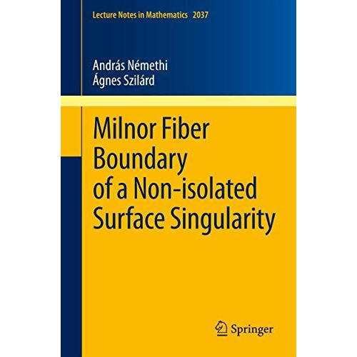 Milnor Fiber Boundary of a Non-isolated Surface Singularity [Paperback]