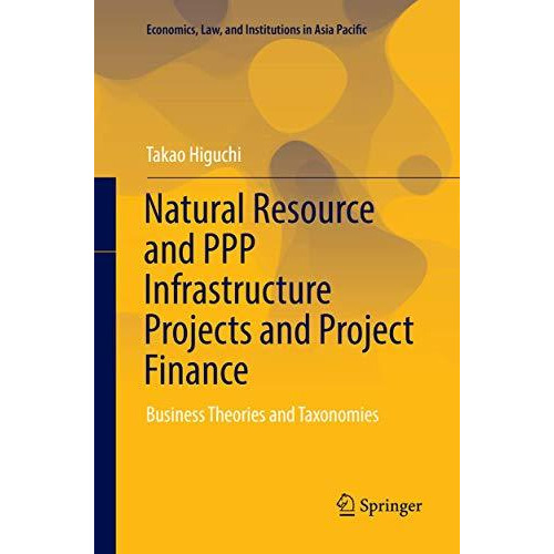 Natural Resource and PPP Infrastructure Projects and Project Finance: Business T [Paperback]