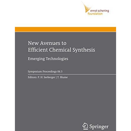 New Avenues to Efficient Chemical Synthesis: Emerging Technologies [Hardcover]