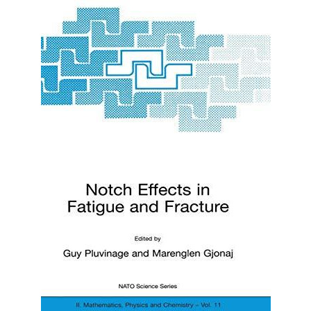 Notch Effects in Fatigue and Fracture [Paperback]