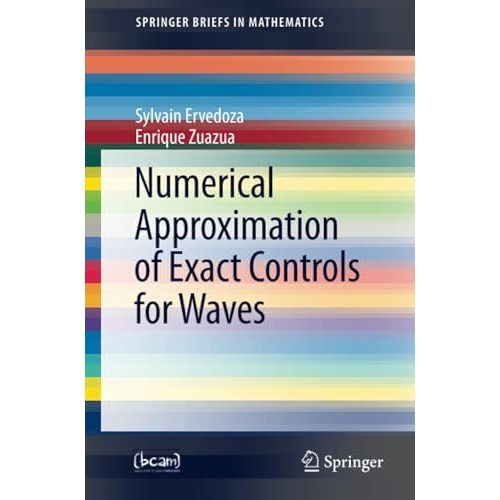 Numerical Approximation of Exact Controls for Waves [Paperback]