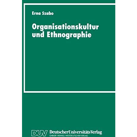 Organisationskultur und Ethnographie: Fallstudie in einem ?sterreichischen Krank [Paperback]