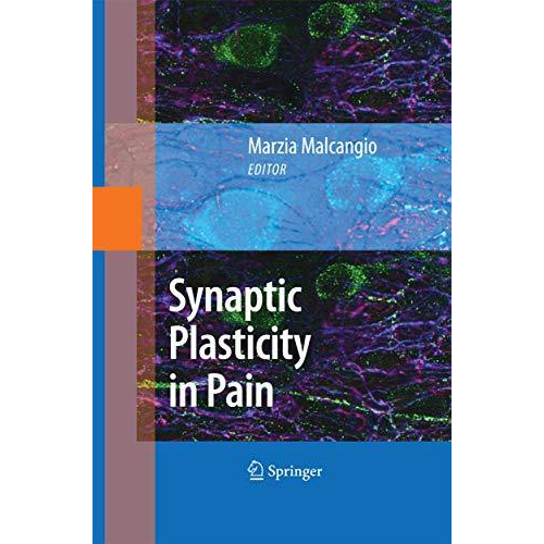 Synaptic Plasticity in Pain [Paperback]