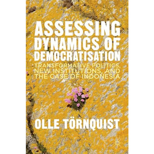 Assessing Dynamics of Democratisation: Transformative Politics, New Institutions [Hardcover]