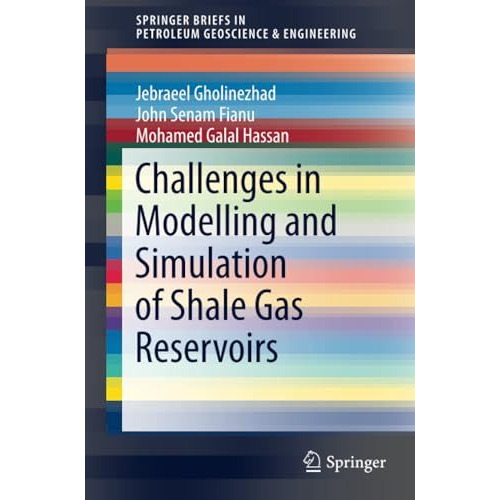 Challenges in Modelling and Simulation of Shale Gas Reservoirs [Paperback]