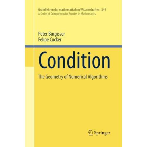 Condition: The Geometry of Numerical Algorithms [Paperback]