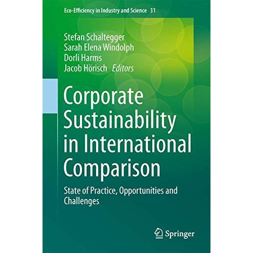 Corporate Sustainability in International Comparison: State of Practice, Opportu [Hardcover]