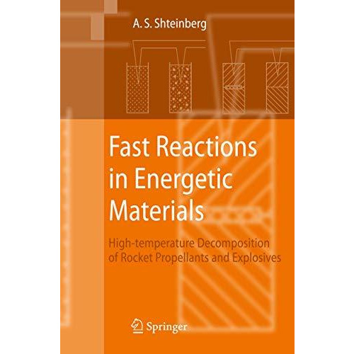 Fast Reactions in Energetic Materials: High-Temperature Decomposition of Rocket  [Hardcover]