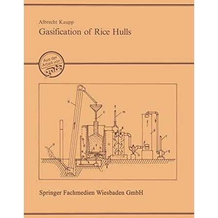 Gasification of Rice Hulls: Theory and Praxis [Paperback]