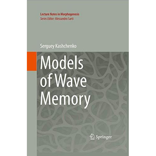 Models of Wave Memory [Paperback]