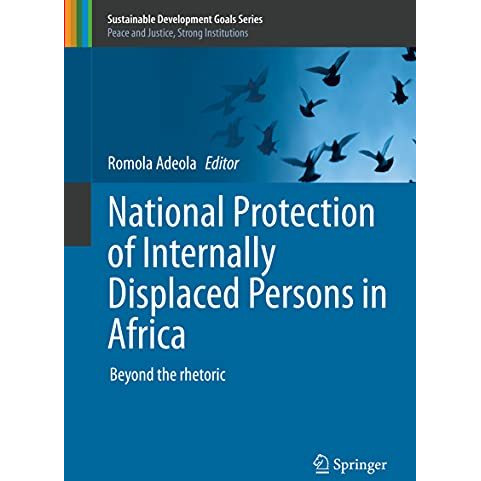 National Protection of Internally Displaced Persons in Africa: Beyond the rhetor [Hardcover]