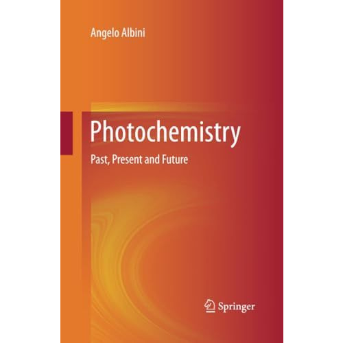 Photochemistry: Past, Present and Future [Paperback]